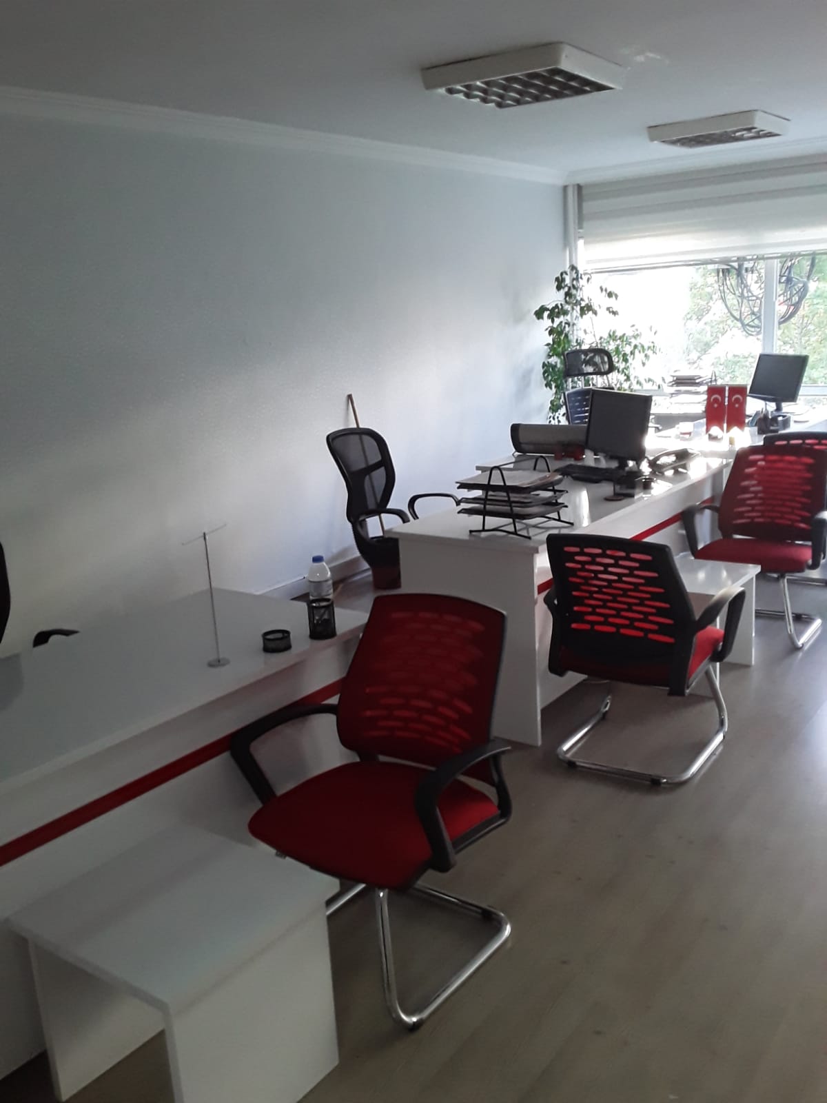 ofis resmi