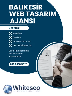 balikesir web tasarim