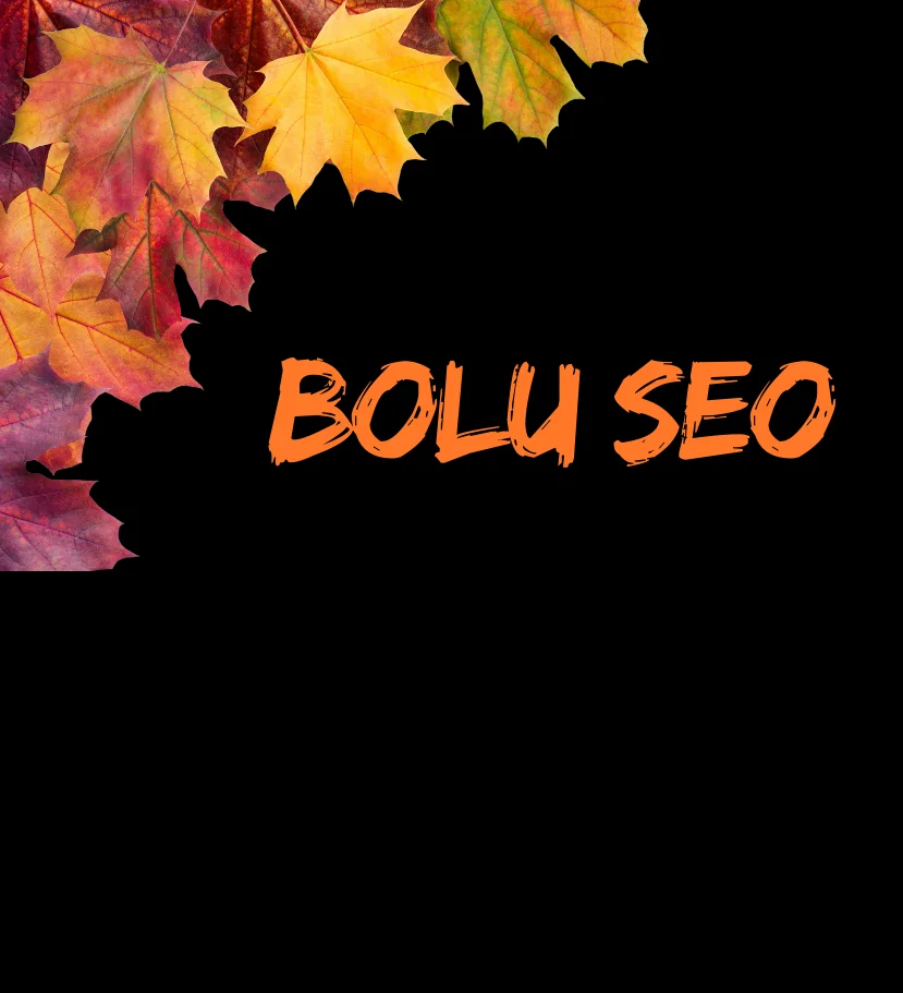 bolu seo ajansı bolu garanti seo hizmetleri