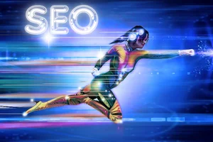 bolu seo paketleri bolu seo fiyatları