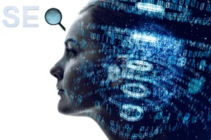 seo uzmanı denizli