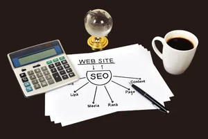 performanslı seo düzce hızlı seo çözümü düzce