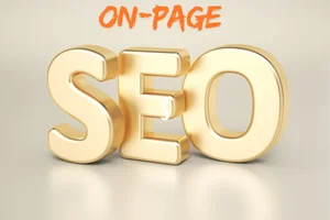 duzce kaliteli seo garanti seo hizmeti düzce