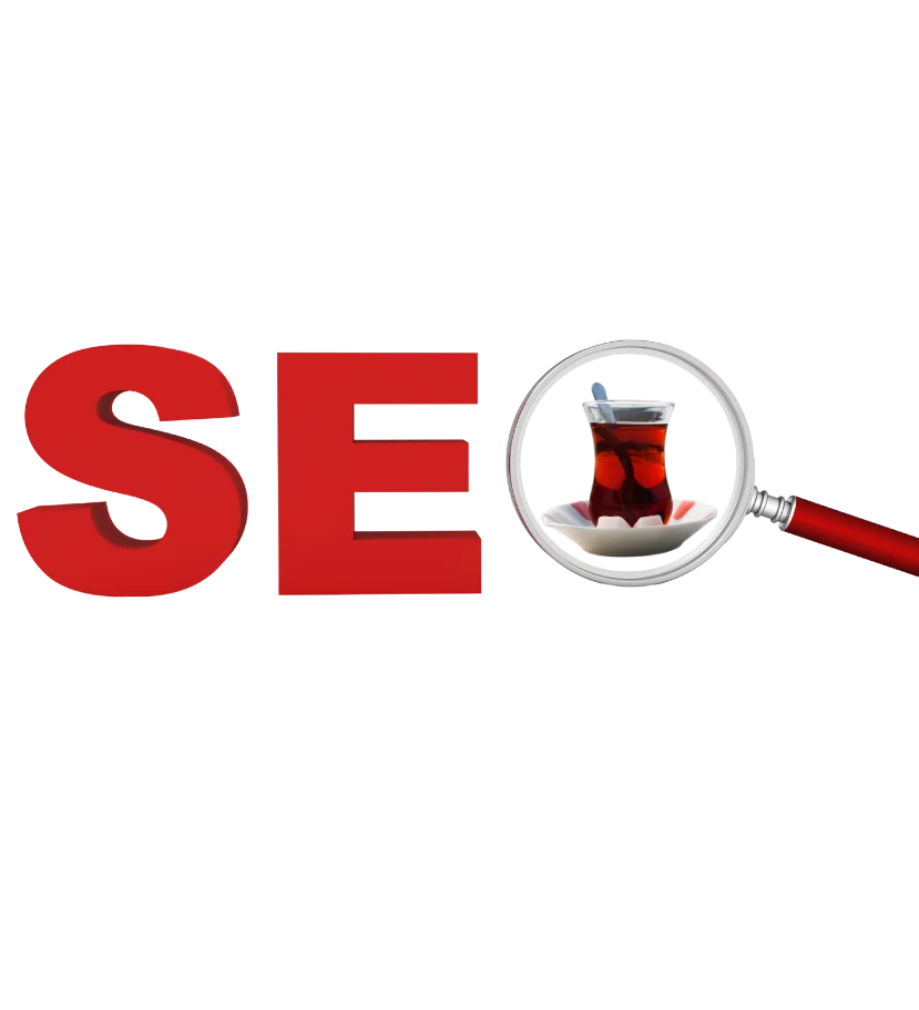 rize seo rize seo firması